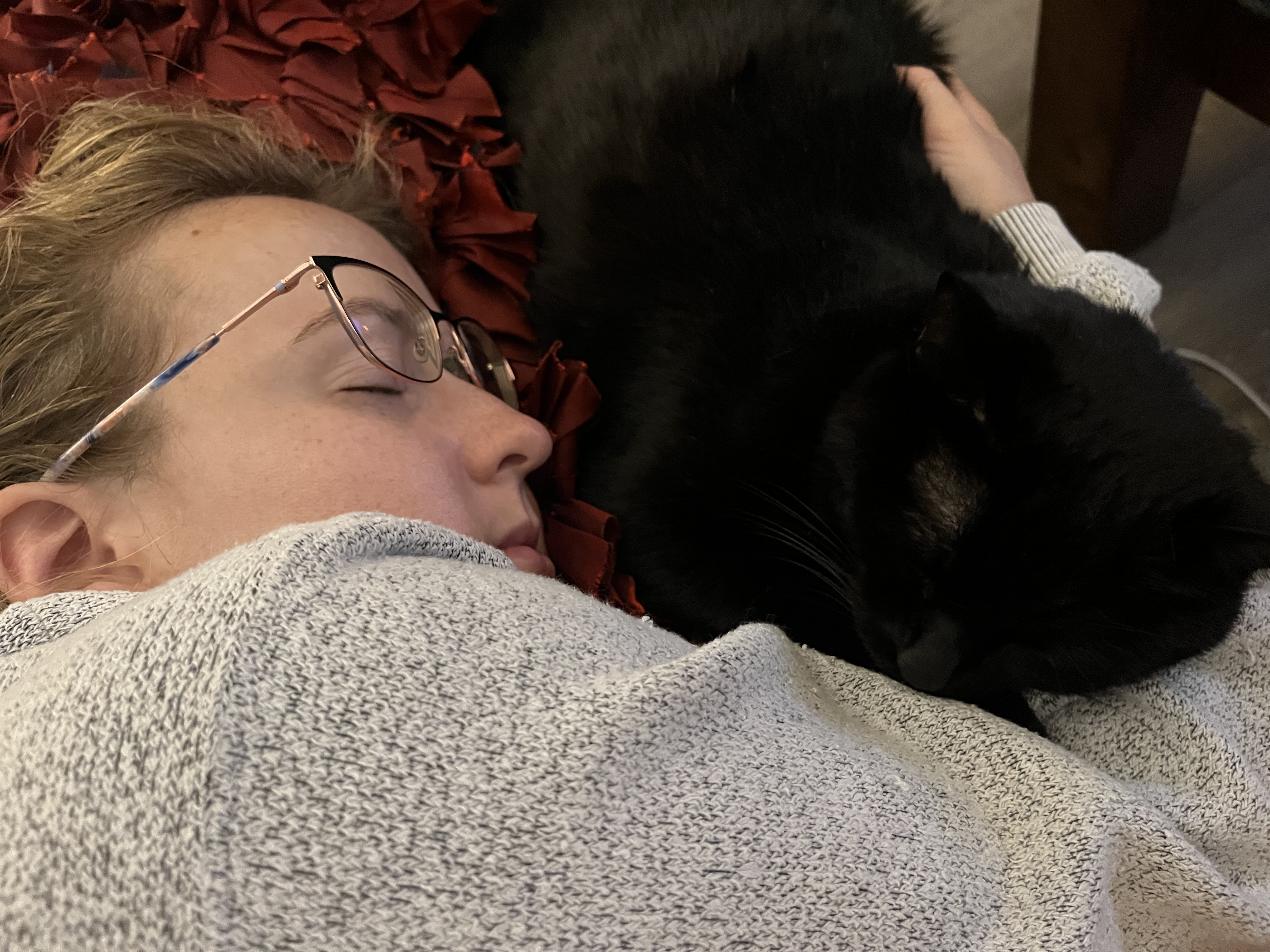 Cat 1
