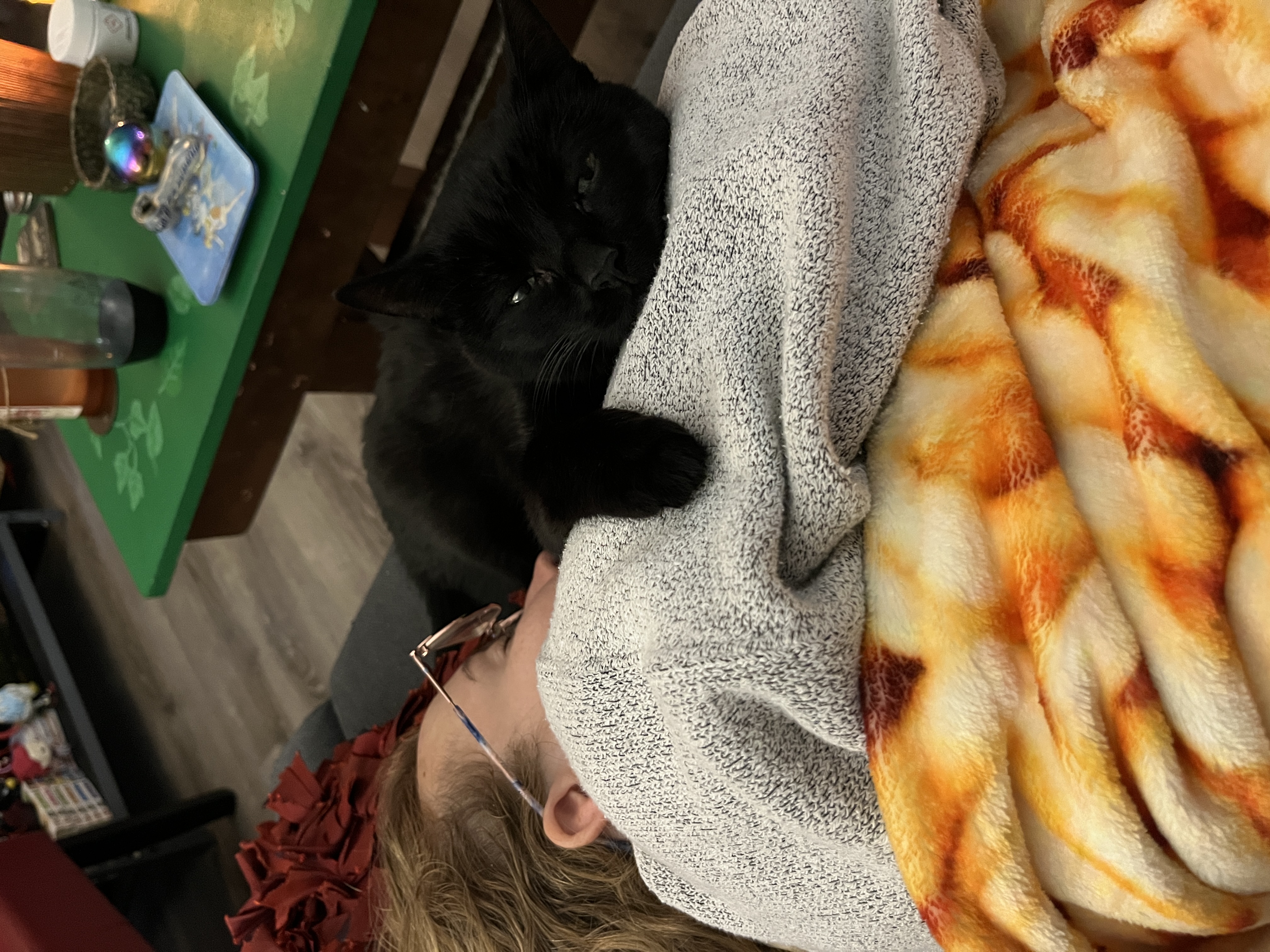 Cat 2