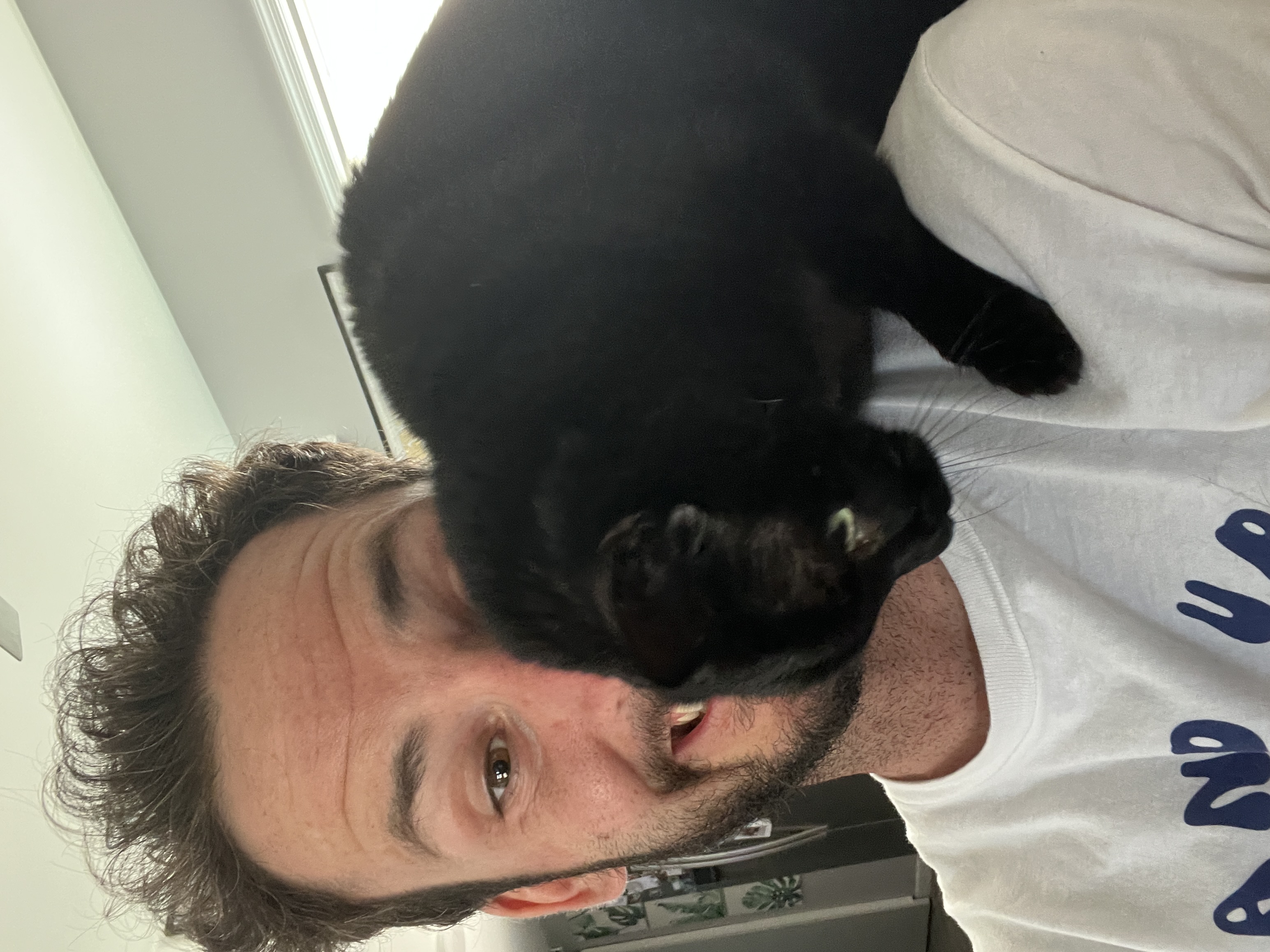 Cat 6