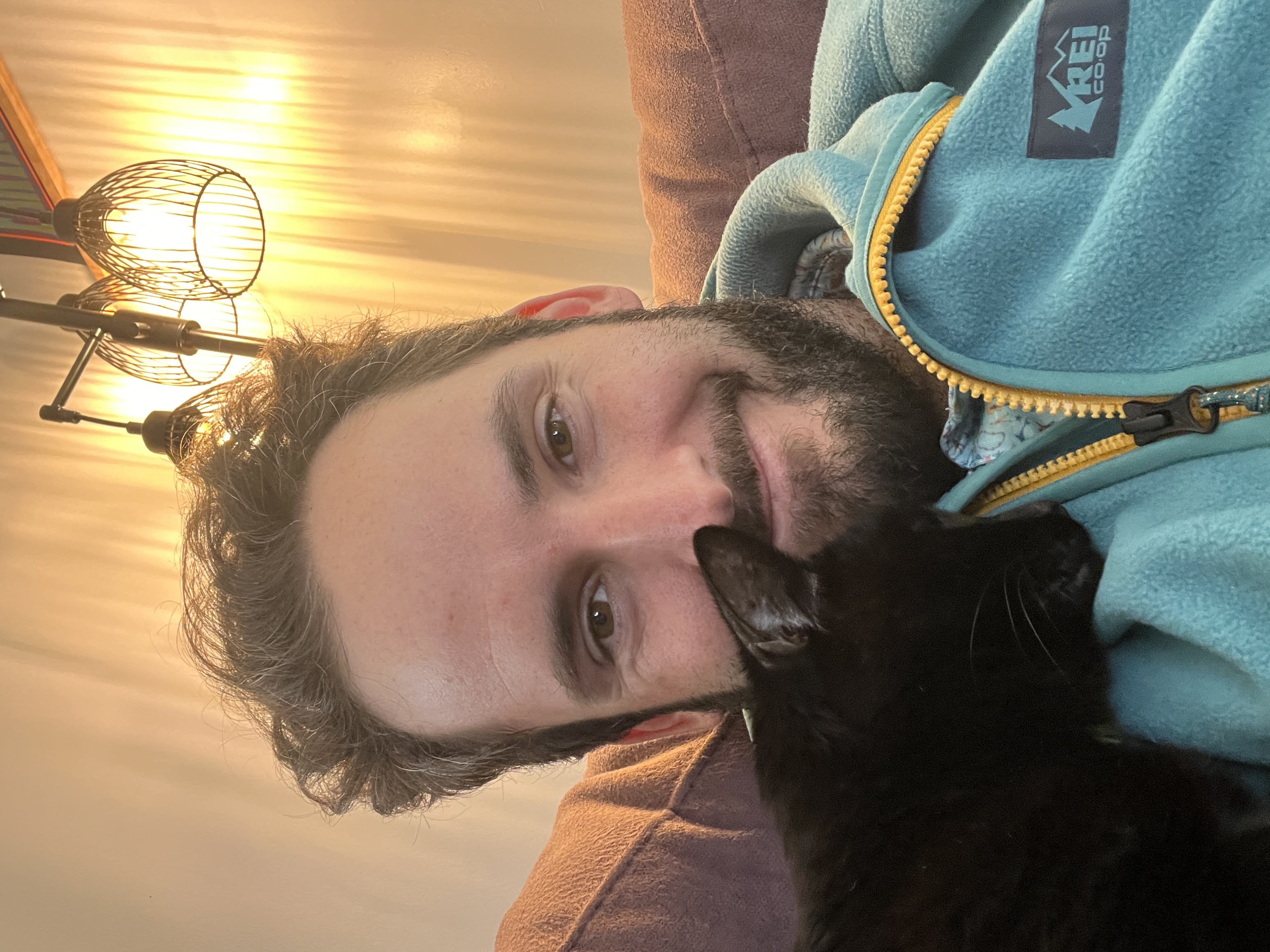Cat 17