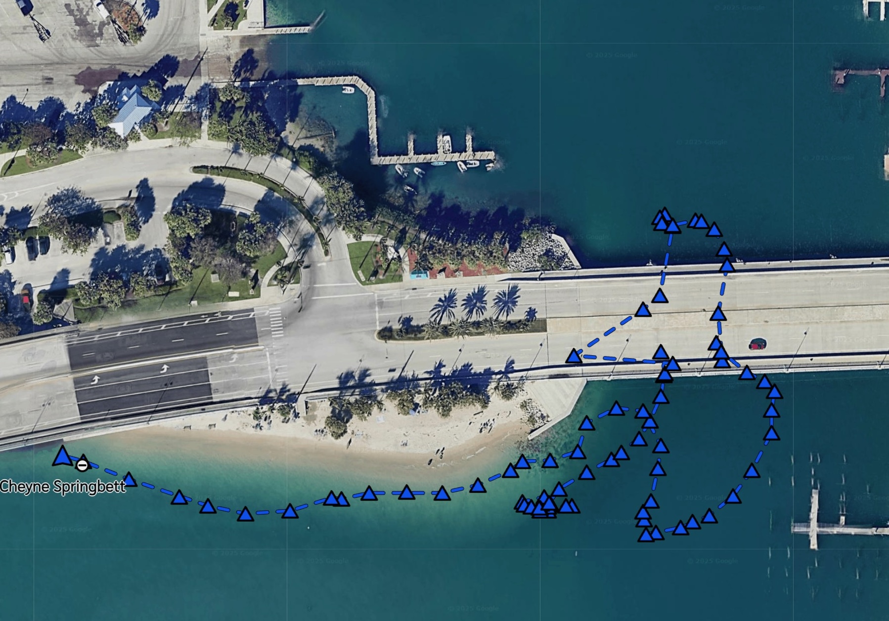 Octopus spatial ecology map